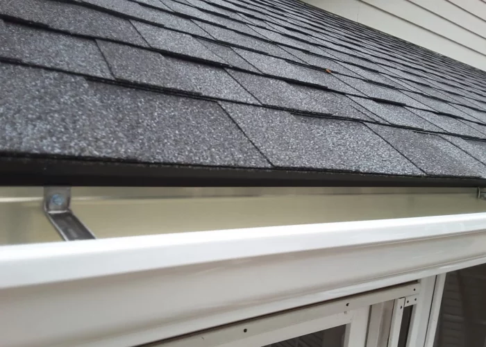 Gutter Cleaning and Inspection