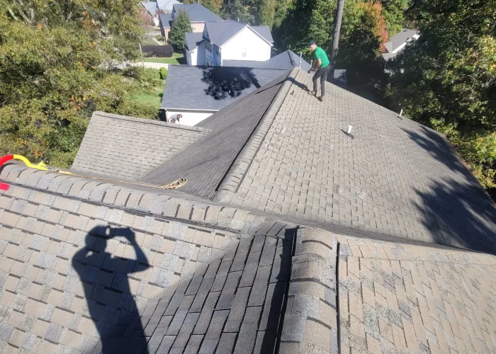 Roof Surface Leak Inspection