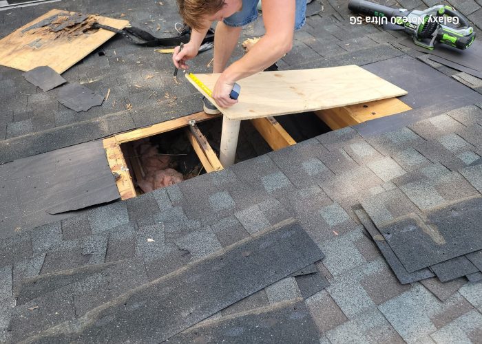 Attic Roof Leak Inspection